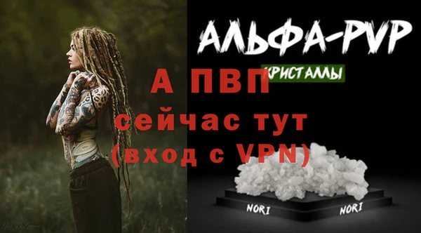 гидра Аркадак