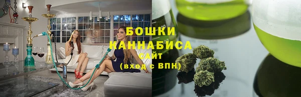 ГАЛЛЮЦИНОГЕННЫЕ ГРИБЫ Лагань