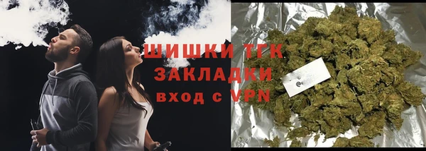 гидра Аркадак