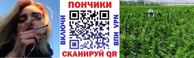 Бошки марихуана гибрид shop какой сайт Прохладный